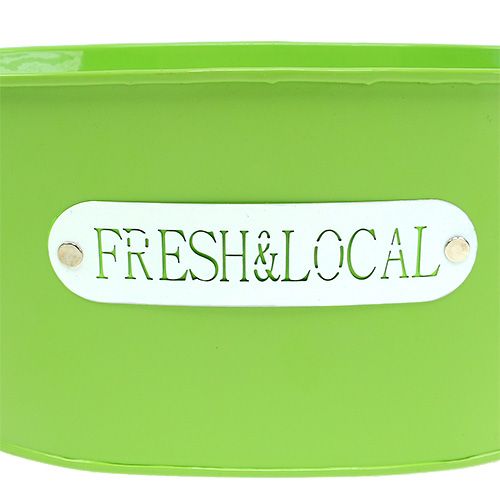 Floristik24 Tinnen schaal ovaal groen 22cm x 15cm H10cm
