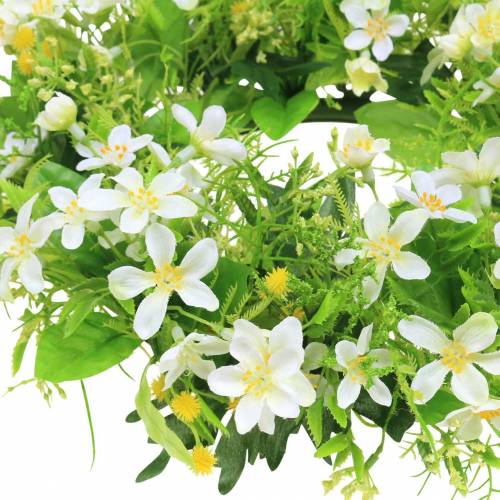 Floristik24 Krans anemoon/dille groen, wit Ø30cm
