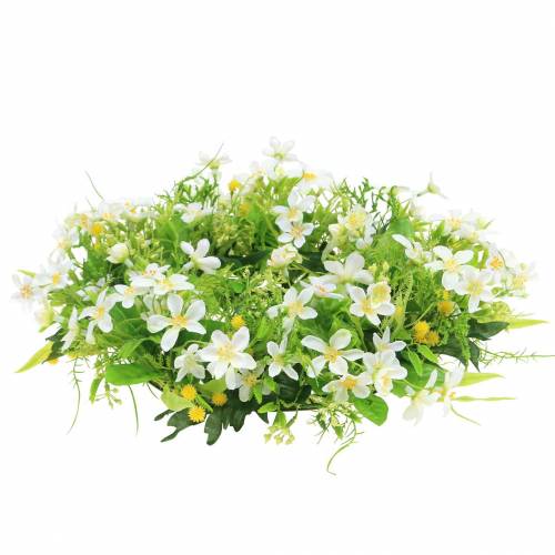 Floristik24 Krans anemoon/dille groen, wit Ø30cm
