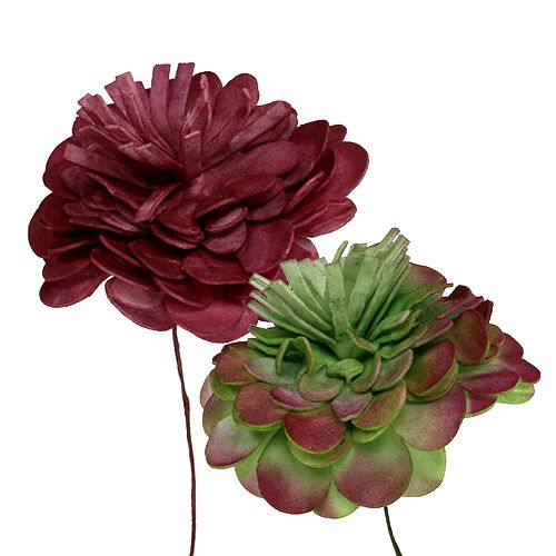 Floristik24 Schuimbloem 7cm groen / Bordeaux 12st