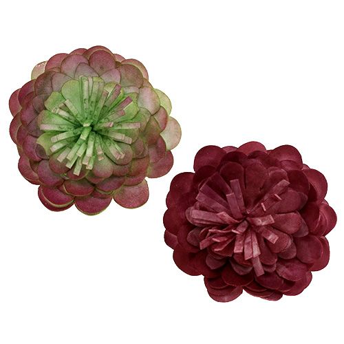 Floristik24 Schuimbloem 7cm groen / Bordeaux 12st
