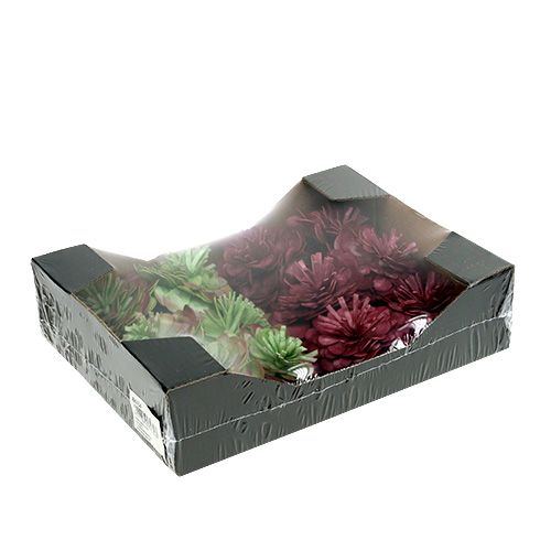 Floristik24 Schuimbloem 7cm groen / Bordeaux 12st