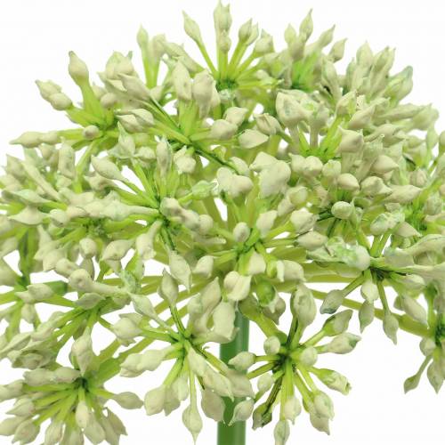 Artikel Allium kunstwit 55cm