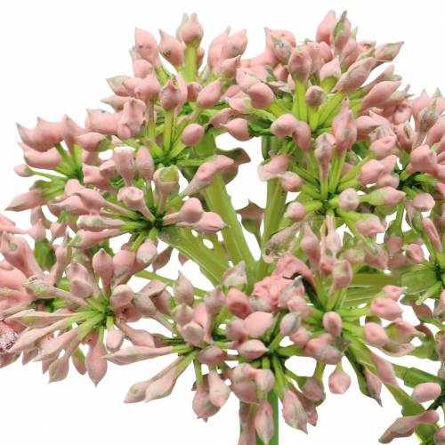 Artikel Allium kunstmatig Roze 55cm