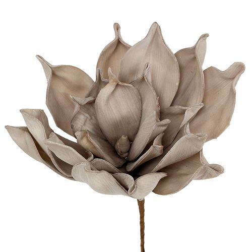 Floristik24 Bloementak schuim grijs 65cm