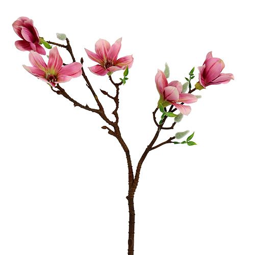 Floristik24 Magnolia mini roze, roze L53cm 3st