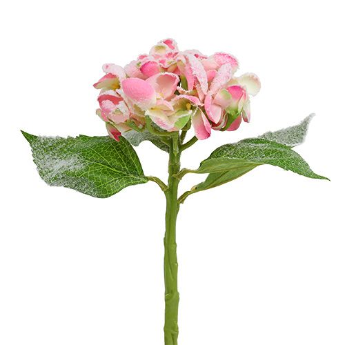 Floristik24 Hortensia roze met sneeuw 33cm 4 st