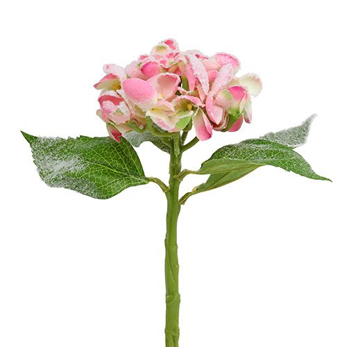 Artikel Hortensia roze gesneeuwd 33cm 4st