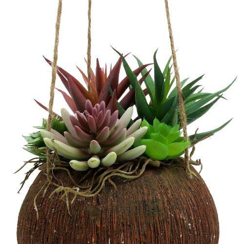 Floristik24 Hangende mand met kunstmatige vetplanten L65cm Ø16cm