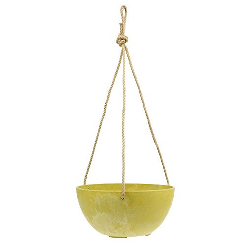 Floristik24 Hangmand Fiona Ø25cm H12cm Citroen