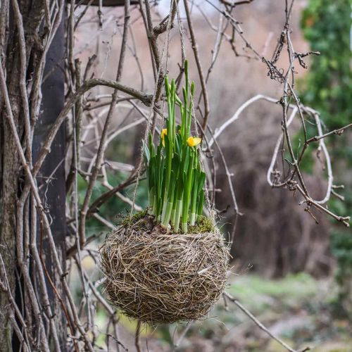 Floristik24 Blumenampel Heu Natur Plantenmand om op te hangen Hangpot Ø20cm