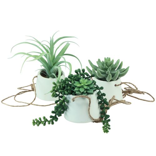 Floristik24 Hangmanden vetplanten kunstgroen assorti 18cm 3st