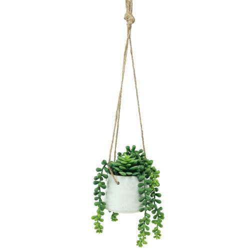 Artikel Hangmanden vetplanten kunstgroen assorti 18cm 3st