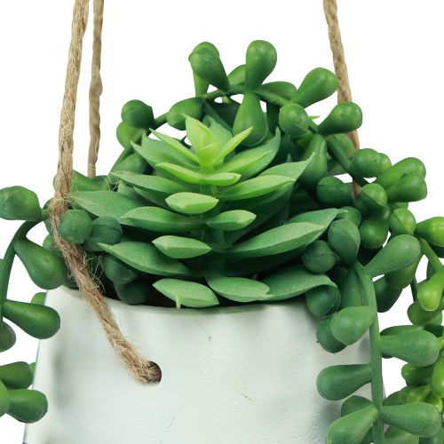 Artikel Hangmanden vetplanten kunstgroen assorti 18cm 3st