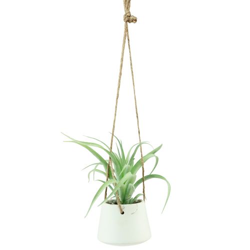 Artikel Hangmanden vetplanten kunstgroen assorti 18cm 3st