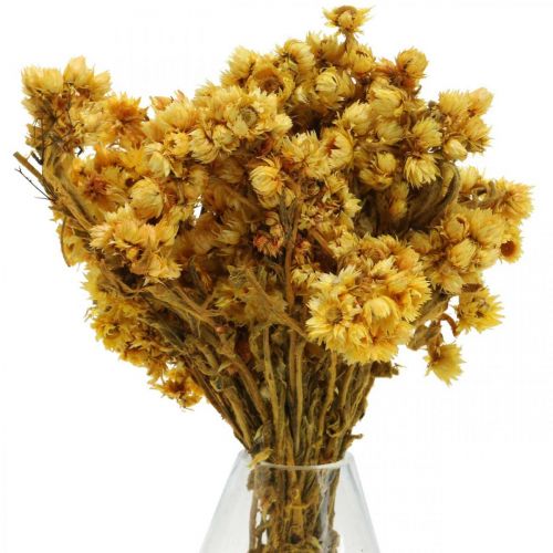 Artikel Mini strobloem gele droogbloemen bos droogboeket H20cm 15g