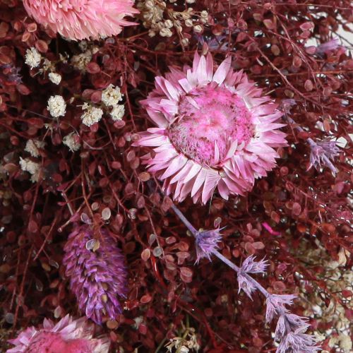 Floristik24 Bloemenkrans droogbloemenkrans wijnrood roze Ø25cm