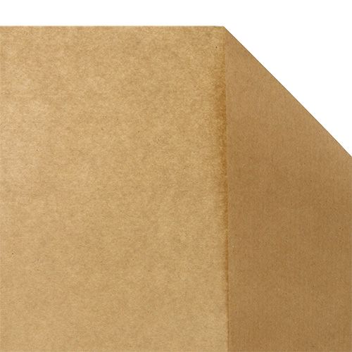 Floristik24 Bloemenzijde 75cm naturel 9kg
