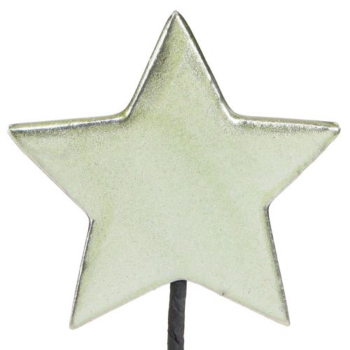 Bloempluggen sterrenpluggen groen 7cm – 2e keus – 24 stuks