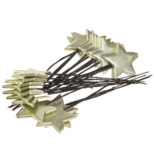 Artikel Bloempluggen sterrenpluggen groen 7cm – 2e keus – 24 stuks