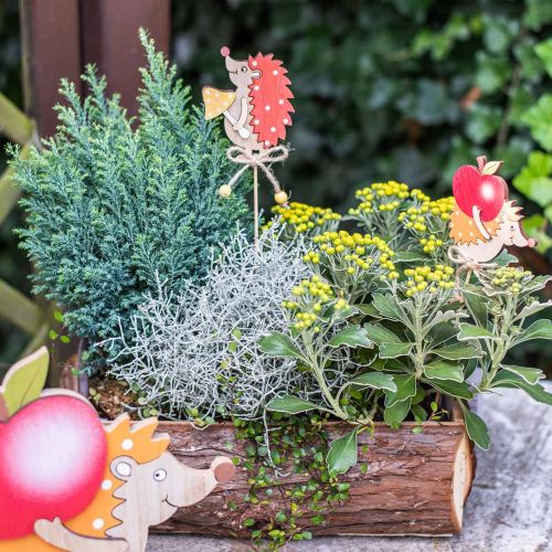 Floristik24 Bloem stok egel, houten decoratie, herfst figuur H9.5cm L32cm 12st