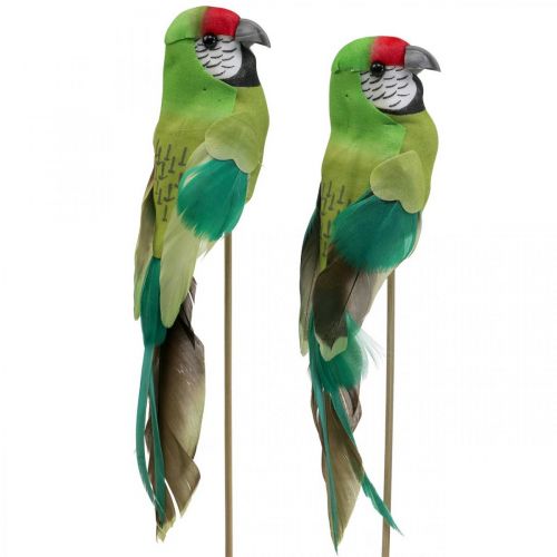 Floristik24 Bloemplug vogel, deco papegaai groen 23×4,5×5,5cm 6st