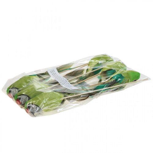 Floristik24 Bloemplug vogel, deco papegaai groen 23×4,5×5,5cm 6st