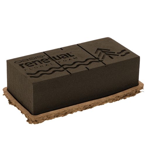Bloemenfoam 1/1 blok OASIS® Renewal® Bloemenfoam Biolit® 24cm 2 stuks