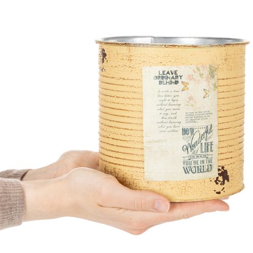 Artikel Bloempot in vintage design voor woonkamer- en kantoordecoratie, 15 cm, 3 stuks