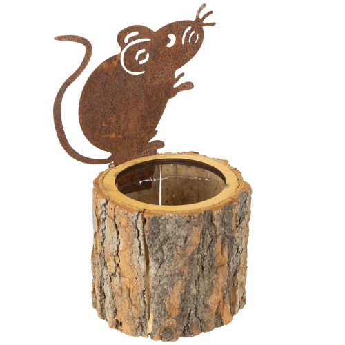 Floristik24 Bloempot houten plantenbak schors en muis roest H24cm