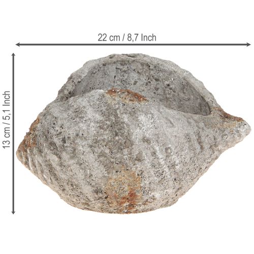 Artikel Bloempot schelpsteen antiek grijs maritiem 22×18×13cm