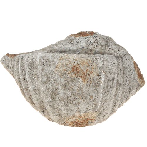 Artikel Bloempot schelpsteen antiek grijs maritiem 22×18×13cm