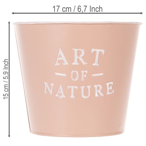 Artikel Zinken bloempot Art of Nature antieke roos Ø17,5cm H15cm