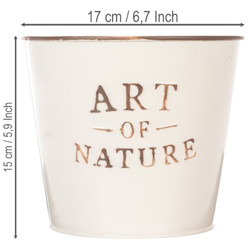 Zinken bloempot Art of Nature Crème Ø17,5cm H15cm | Floristik24.nl