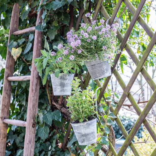 Floristik24 Bloempot om op te hangen metaal antiek creme Ø13cm H11.5cm