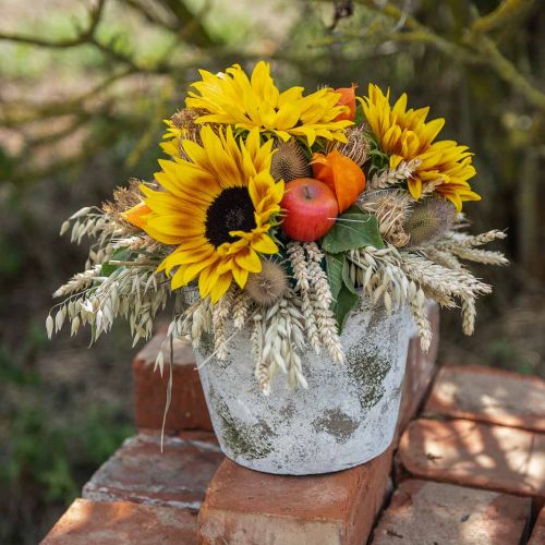 Floristik24 Bloempot antiek look plantenbak met patina Ø20.5cm H16cm