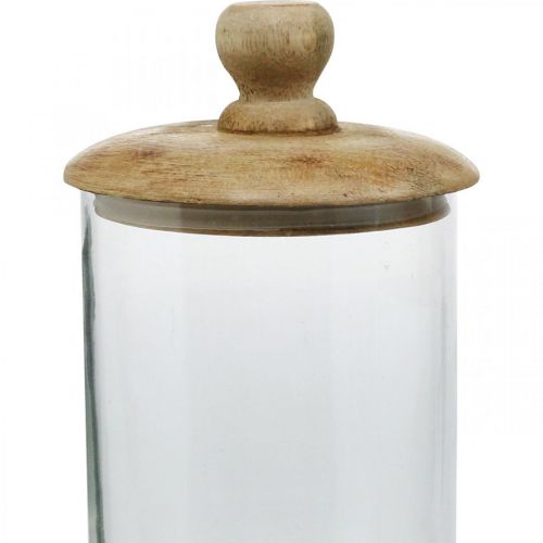 Floristik24 Glazen pot met deksel, bonboniere, glazen pot naturel, helder Ø11cm H19cm 2st