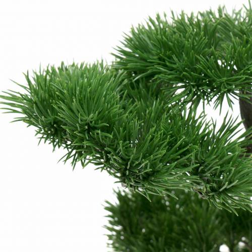 Floristik24 Bonsai boom in keramiek pot Japans grenen kunst H36cm