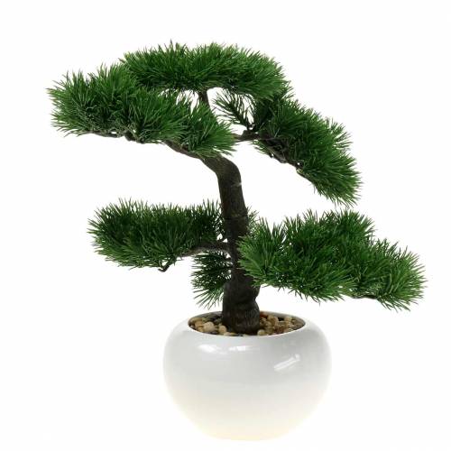 Floristik24 Bonsai boom in keramiek pot Japans grenen kunst H36cm