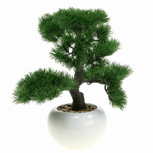 Floristik24 Bonsai boom in keramiek pot Japans grenen kunst H36cm