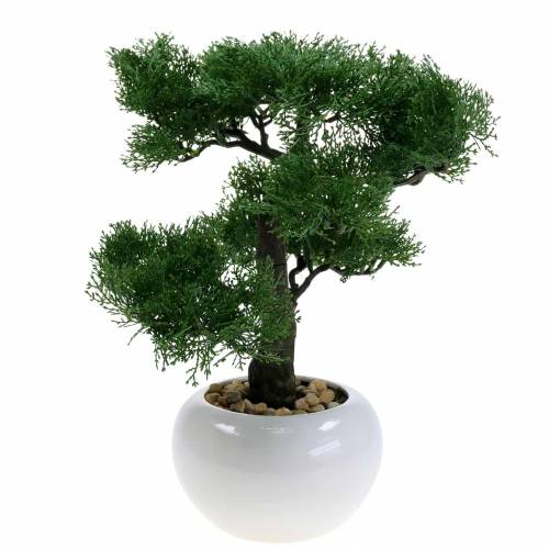 Floristik24 Bonsai kunstboom dennen in een pot H36cm