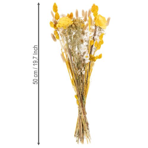 Artikel Boeket gedroogde rozen van Sola-hout. Elegant boeket voor een natuurlijke huisdecoratie. 50 cm