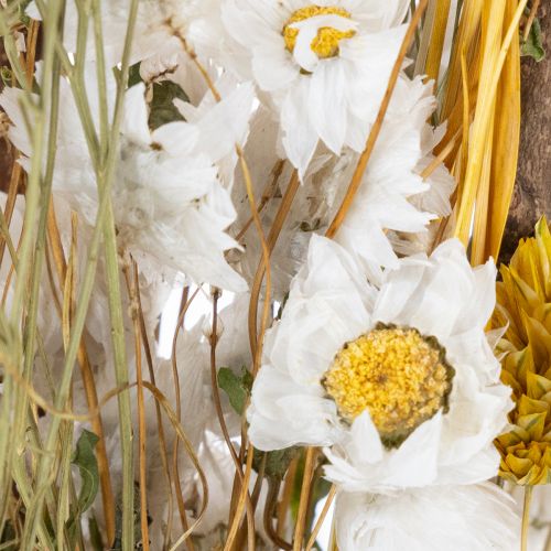 Artikel Boeket gedroogde rozen van Sola-hout. Elegant boeket voor een natuurlijke huisdecoratie. 50 cm