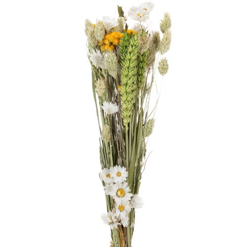 Boeket gedroogde bloemen, elegant boeket gedroogde bloemen voor de woonkamer, 50 cm