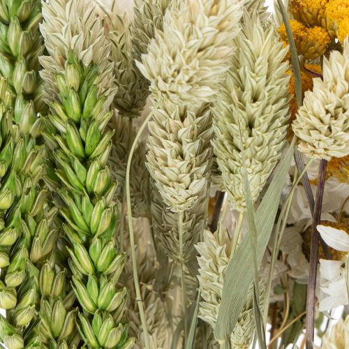 Artikel Boeket gedroogde bloemen, elegant boeket gedroogde bloemen voor de woonkamer, 50 cm