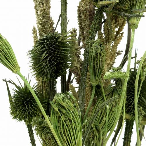 Floristik24 Wildbloemenboeket naturel, groen 25–60cm 70g
