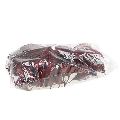 Artikel Brachyciton Rood 500g