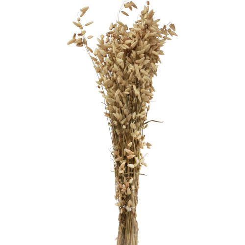 Artikel Gedroogd bloemen trilgras natuurlijk Briza siergras 60cm 100g