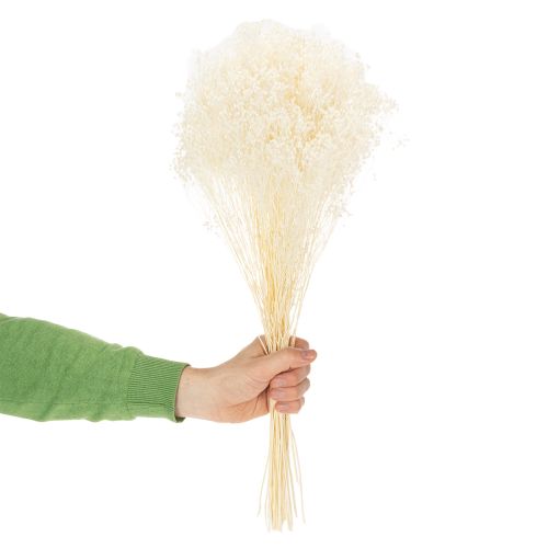 Artikel Gedroogde, gebleekte witte broombloemen met lange houdbaarheid, 100 g