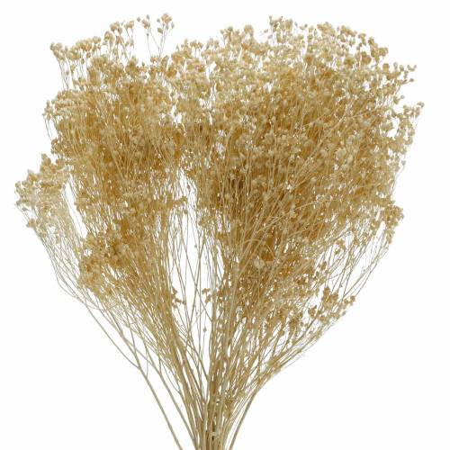 Artikel Droogbloemen Broom Bloom Gebleekt 140g